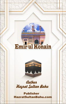 Amerul konan